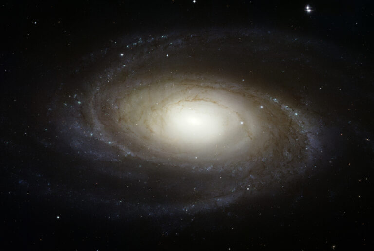 M81 Bode's Galaxy